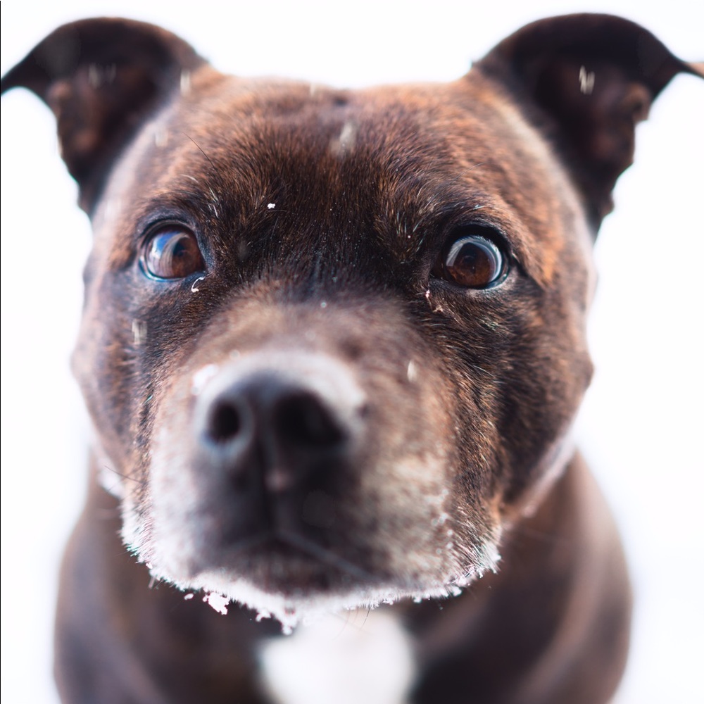 Meet your Posher, Catherine